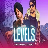 LEVELS (MegaMix By Rosh Blazze)(DjSidhuMoosewala.Com)